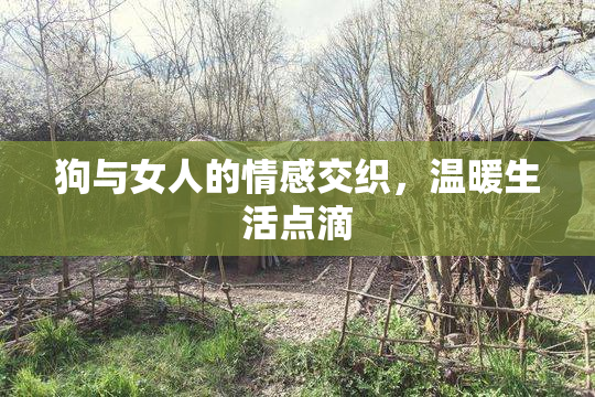 狗与女人的情感交织，温暖生活点滴