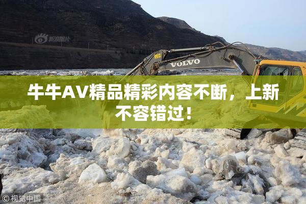 牛牛AV精品精彩内容不断，上新不容错过！