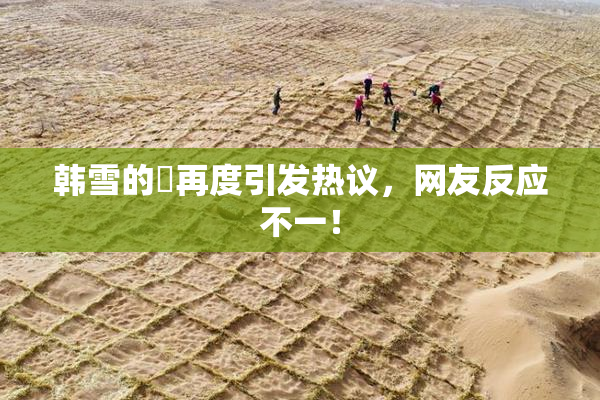 韩雪的婬再度引发热议，网友反应不一！