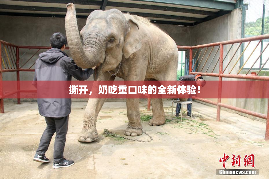 撕开，奶吃重口味的全新体验！