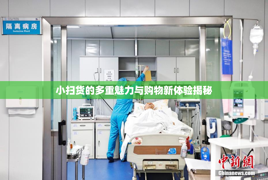 小扫货的多重魅力与购物新体验揭秘