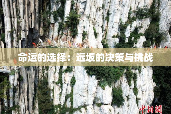命运的选择：远坂的决策与挑战