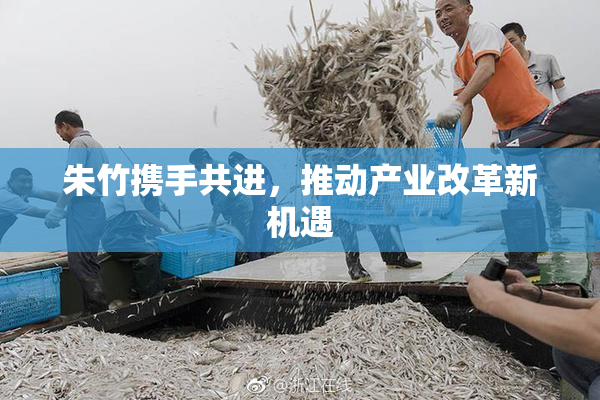 朱竹携手共进，推动产业改革新机遇