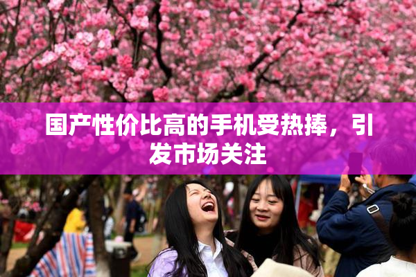 国产性价比高的手机受热捧，引发市场关注