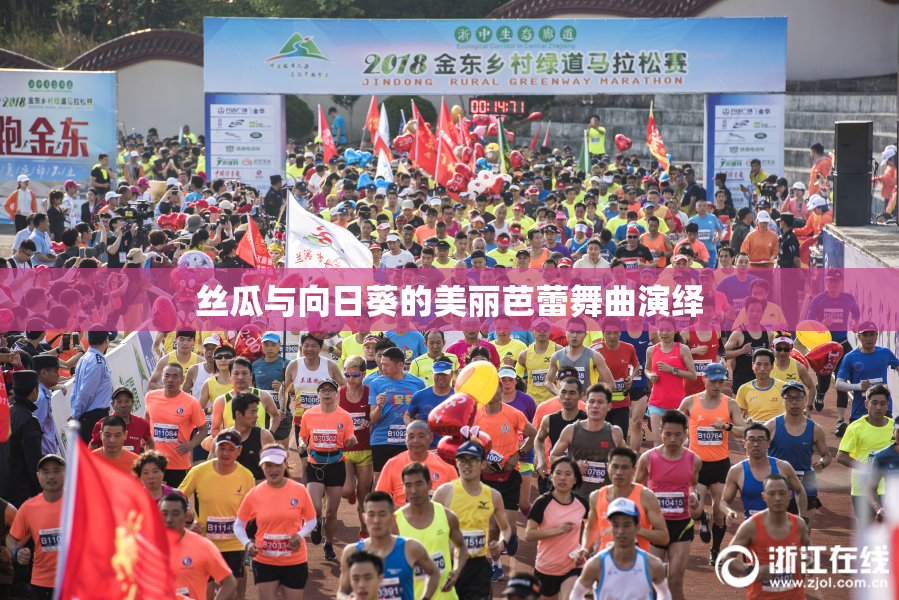 丝瓜与向日葵的美丽芭蕾舞曲演绎