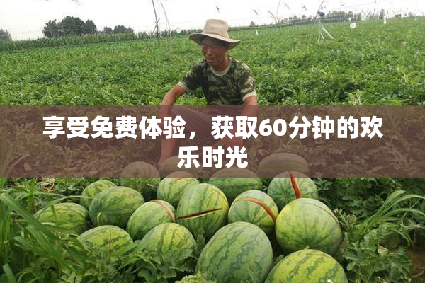 享受免费体验，获取60分钟的欢乐时光