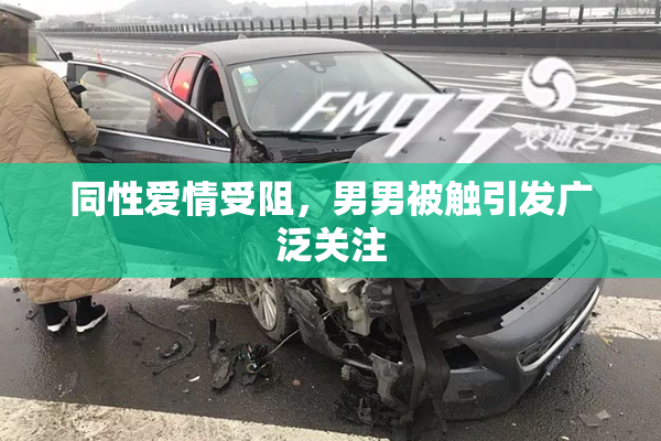 同性爱情受阻，男男被触引发广泛关注