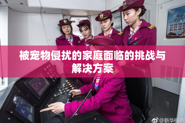 被宠物侵扰的家庭面临的挑战与解决方案
