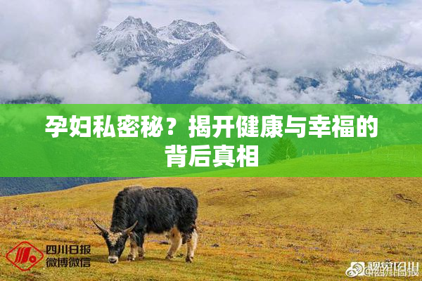 孕妇私密秘？揭开健康与幸福的背后真相