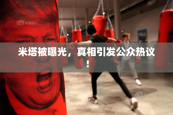 米塔被曝光，真相引发公众热议！