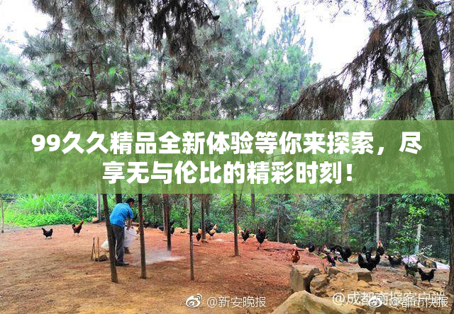 99久久精品全新体验等你来探索，尽享无与伦比的精彩时刻！