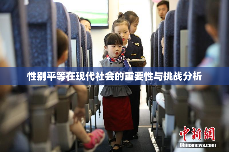 性别平等在现代社会的重要性与挑战分析