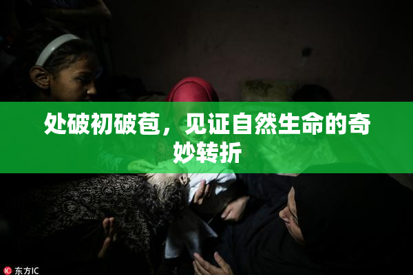 处破初破苞，见证自然生命的奇妙转折