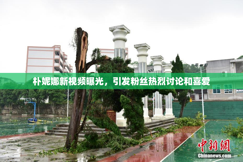 朴妮娜新视频曝光，引发粉丝热烈讨论和喜爱