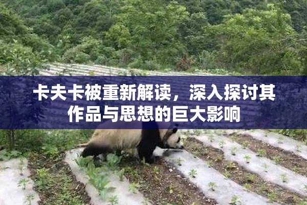 卡夫卡被重新解读，深入探讨其作品与思想的巨大影响