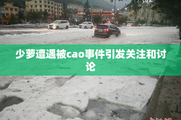少萝遭遇被cao事件引发关注和讨论