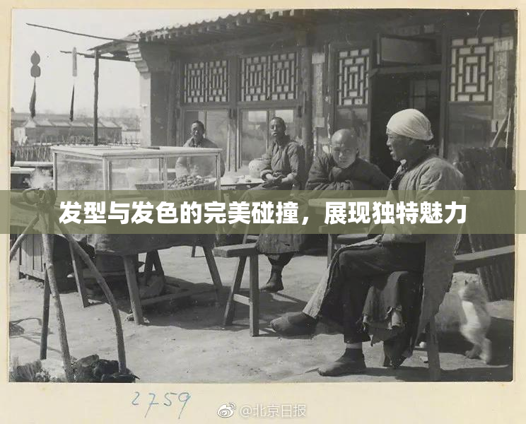 发型与发色的完美碰撞，展现独特魅力