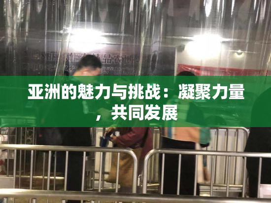 亚洲的魅力与挑战：凝聚力量，共同发展