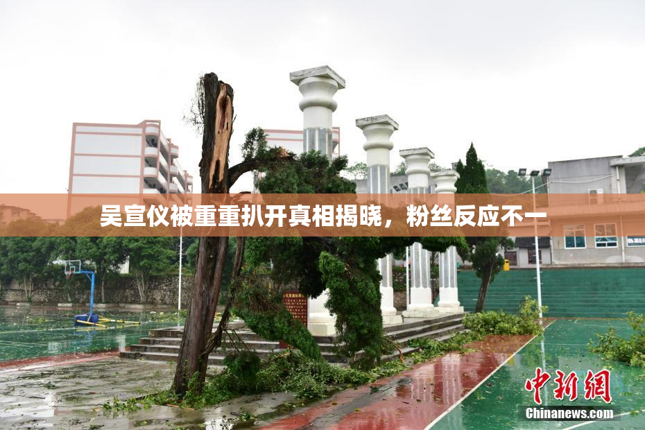 吴宣仪被重重扒开真相揭晓，粉丝反应不一