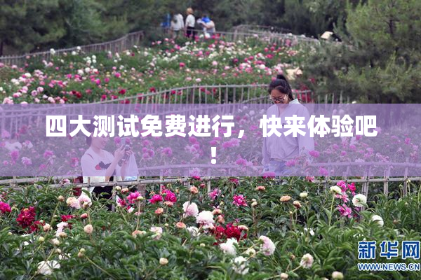 四大测试免费进行，快来体验吧！
