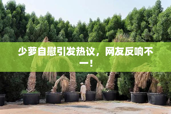 少萝自慰引发热议，网友反响不一！