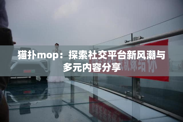 猫扑mop：探索社交平台新风潮与多元内容分享