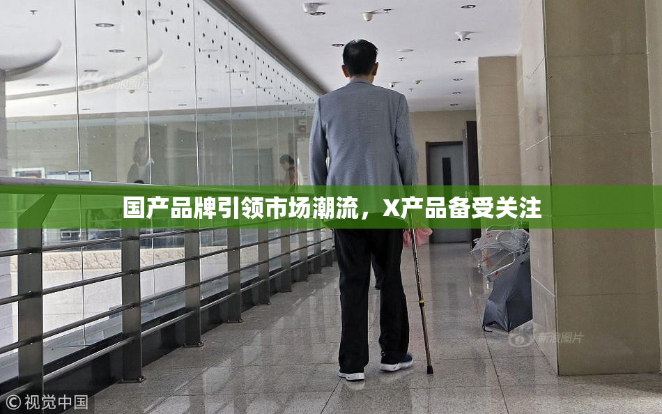 国产品牌引领市场潮流，X产品备受关注
