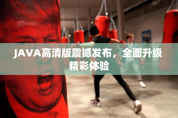 JAVA高清版震撼发布，全面升级精彩体验