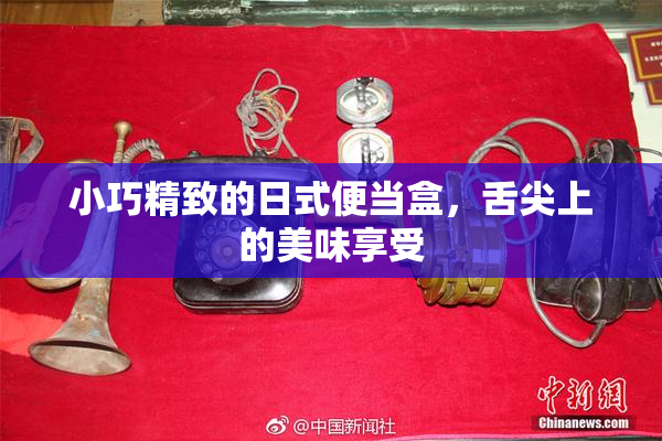 小巧精致的日式便当盒，舌尖上的美味享受