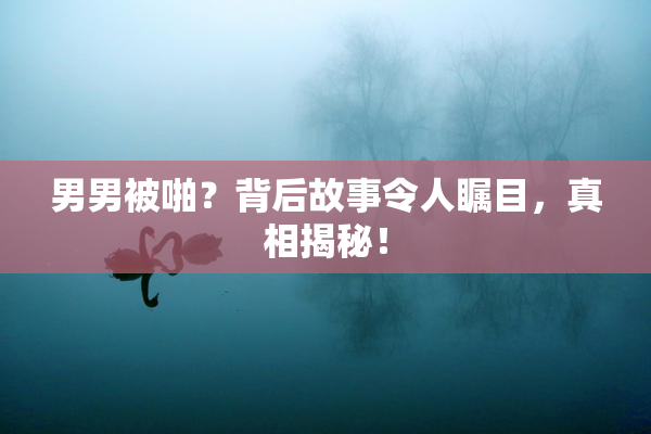 男男被啪？背后故事令人瞩目，真相揭秘！