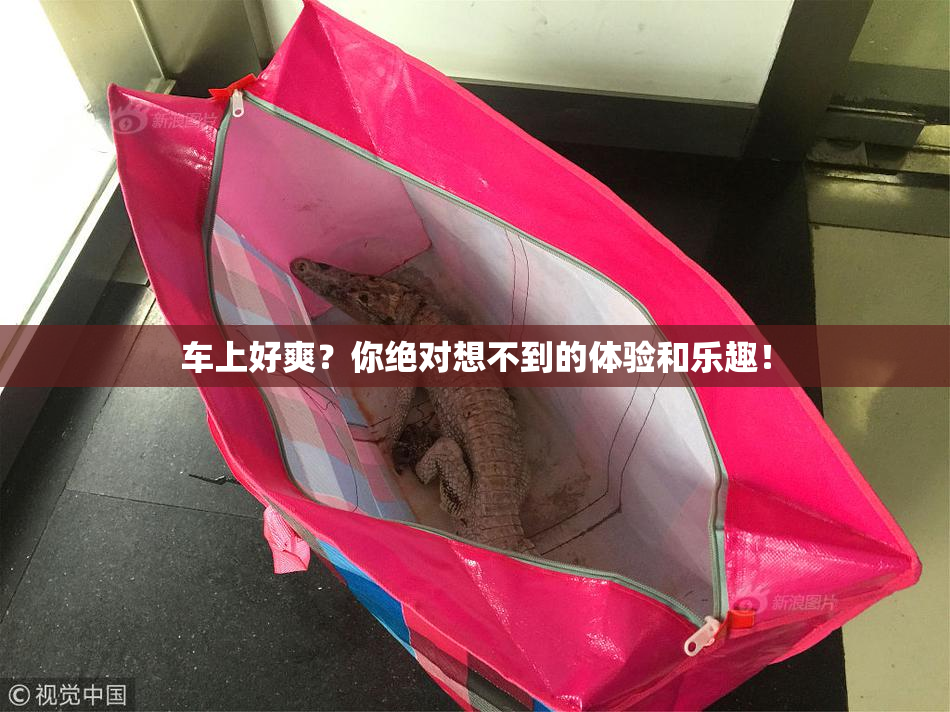 车上好爽？你绝对想不到的体验和乐趣！