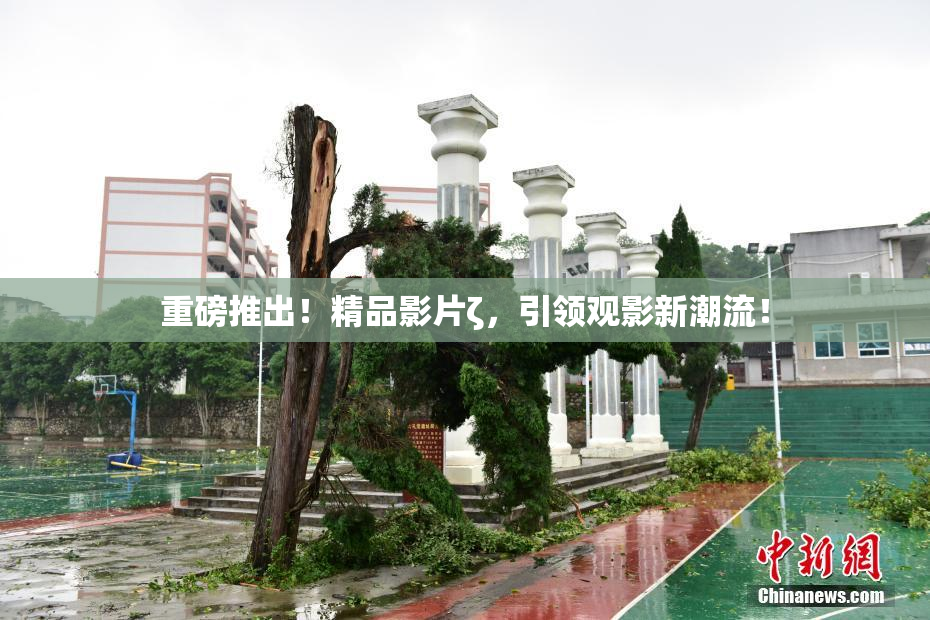 重磅推出！精品影片ζ，引领观影新潮流！