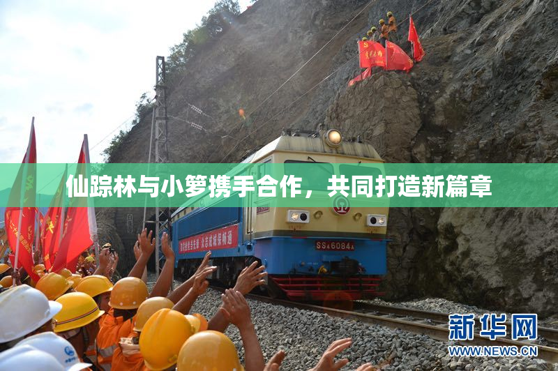 仙踪林与小箩携手合作，共同打造新篇章