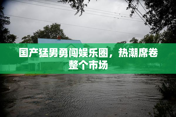国产猛男勇闯娱乐圈，热潮席卷整个市场