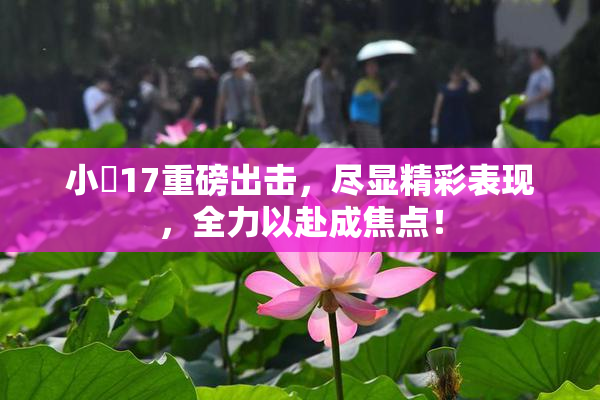 小泬17重磅出击，尽显精彩表现，全力以赴成焦点！