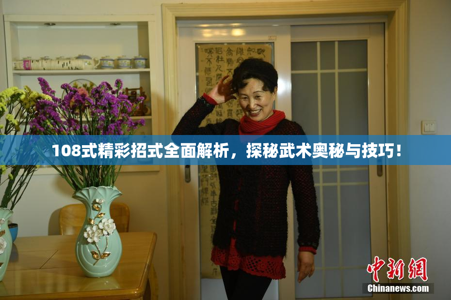 108式精彩招式全面解析，探秘武术奥秘与技巧！