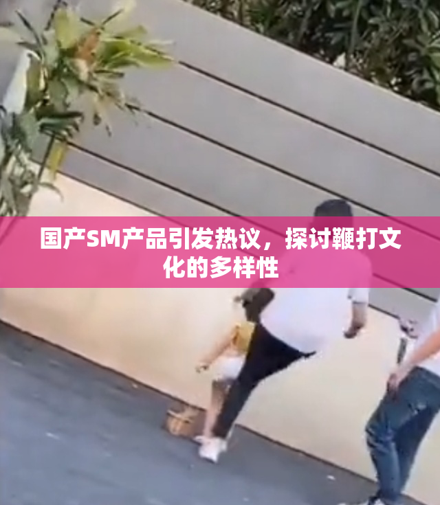 国产SM产品引发热议，探讨鞭打文化的多样性