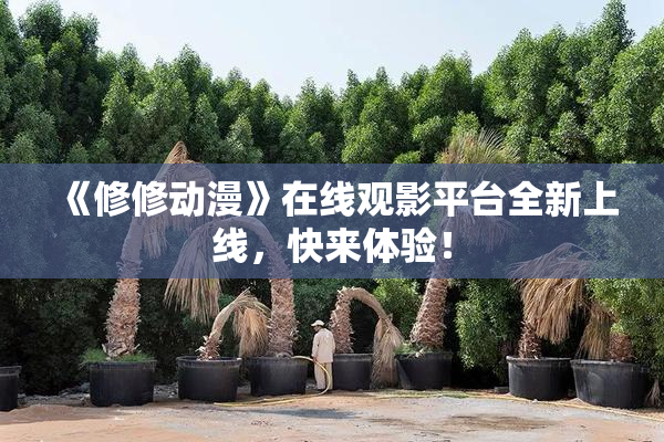 《修修动漫》在线观影平台全新上线，快来体验！