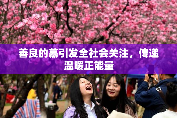 善良的慕引发全社会关注，传递温暖正能量
