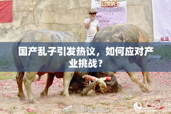 国产乱子引发热议，如何应对产业挑战？