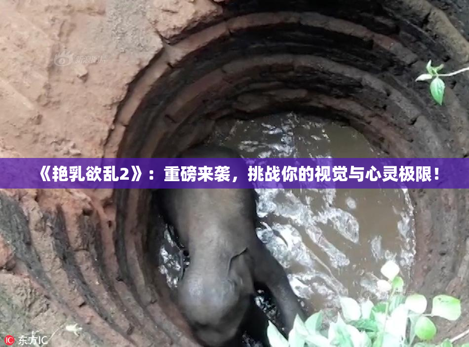 《艳乳欲乱2》：重磅来袭，挑战你的视觉与心灵极限！