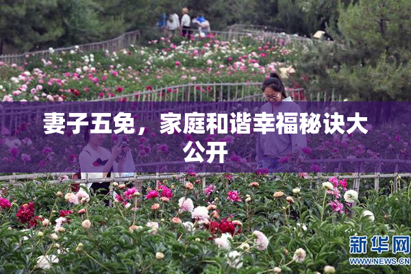 妻子五免，家庭和谐幸福秘诀大公开