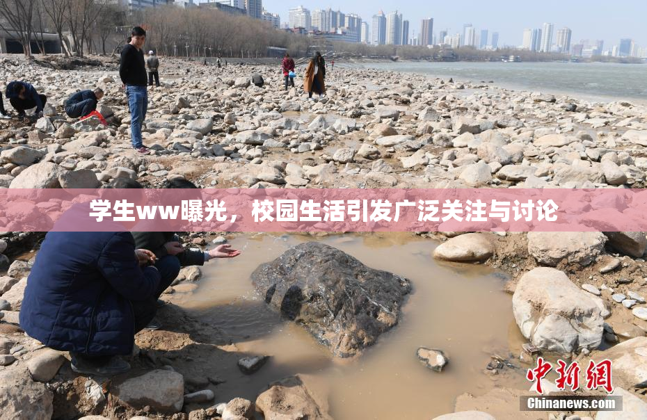 学生ww曝光，校园生活引发广泛关注与讨论