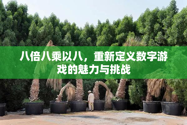 八倍八乘以八，重新定义数字游戏的魅力与挑战