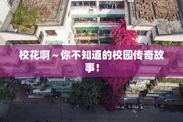 校花啊～你不知道的校园传奇故事！