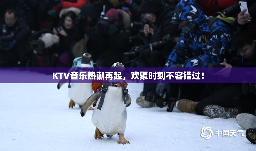 KTV音乐热潮再起，欢聚时刻不容错过！