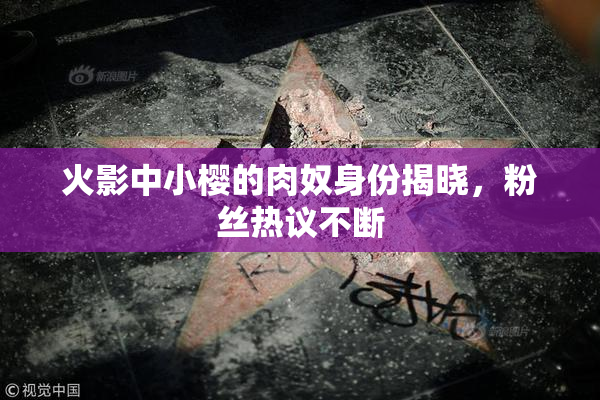 火影中小樱的肉奴身份揭晓，粉丝热议不断