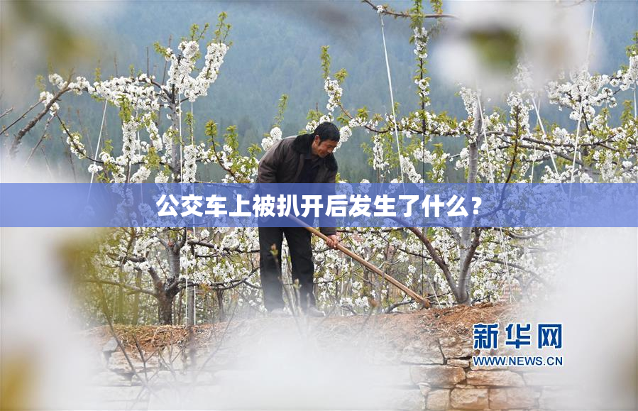 公交车上被扒开后发生了什么？