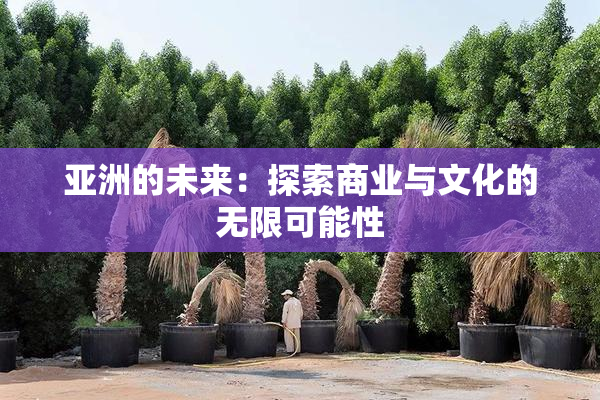 亚洲的未来：探索商业与文化的无限可能性