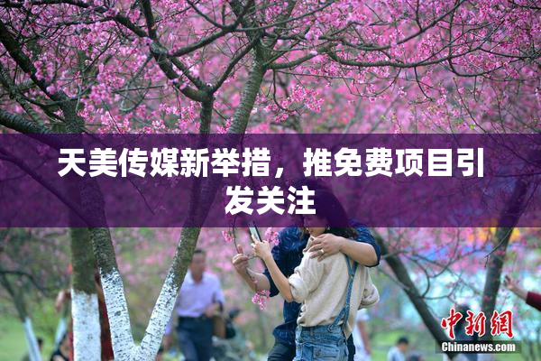 天美传媒新举措，推免费项目引发关注